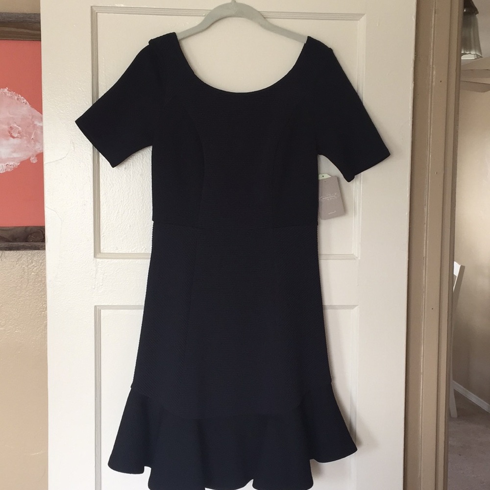 Anthropologie HD Pairs Fit n’ Flare Dress